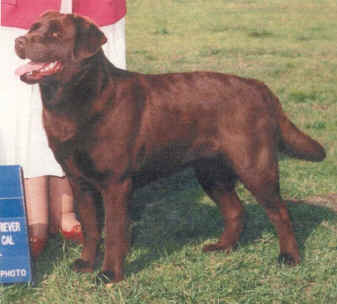 New Big Colby.jpg (80951 bytes)